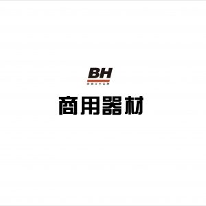 西班牙BH